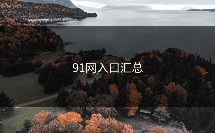 91网入口汇总 91网入口汇总
